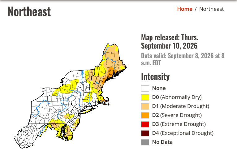 droughtALL