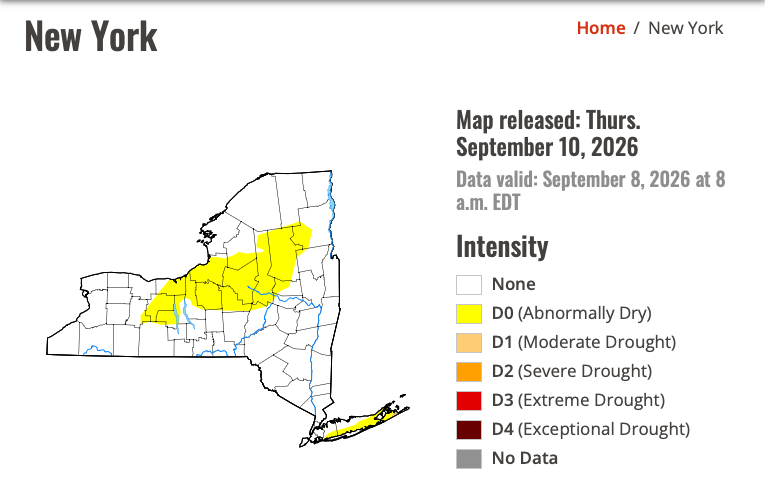 droughtNY